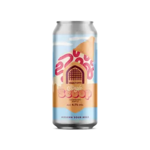 Vault City - Raspberry Ripple Single Scoop
