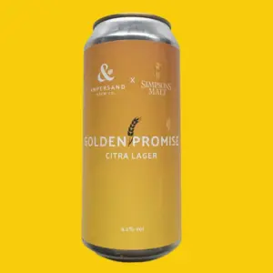 Ampersand - Golden Promise